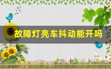 故障灯亮车抖动能开吗,发动机故障灯闪烁 抖动得厉害